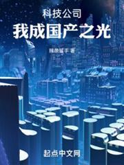 科技公司，我成國產之光！