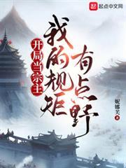 開局當宗主：我的規矩有點野