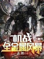 機戰：全金屬風暴