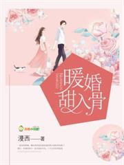 暖婚甜入骨