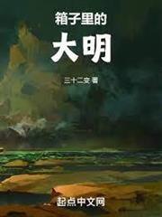 箱子裡的大明