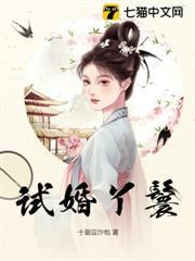 試婚丫鬟