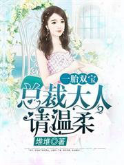 一胎雙寶：總裁大人，請溫柔