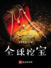 全球挖寶