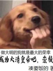 成為大清皇帝吧，崇禎！