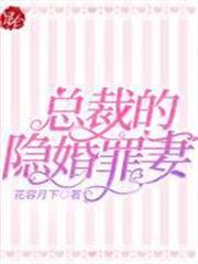 總裁的隱婚罪妻