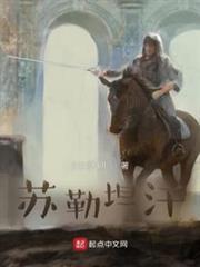 大漠雄鷹蘇勒坦汗 大漠雄鷹蘇勒坦汗