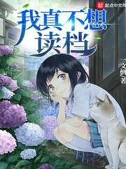 我真不想讀檔