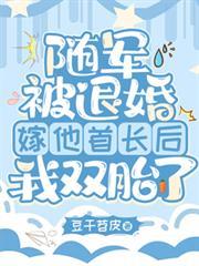 隨軍被退婚，嫁他首長後我雙胎了