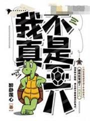 我真不是王八