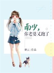 南少老婆又跑了
