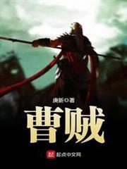 曹賊