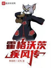 霍格沃茨疾風傳
