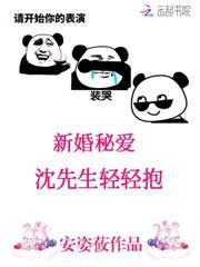 新婚秘愛：沈先生輕輕抱