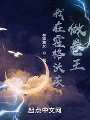 我在霍格沃茨做卷王