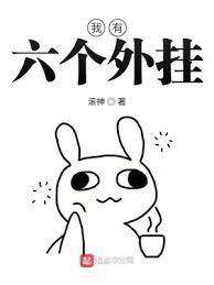 我有六個外掛