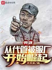 亮劍之獨立大隊