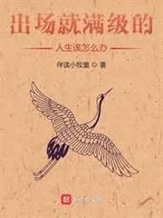 出場就滿級的人生該怎麼辦