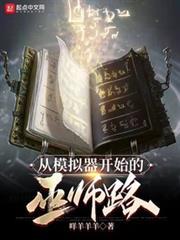 從模擬器開始的巫師路