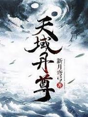 天域丹尊