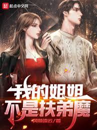 我的姐姐不是扶弟魔