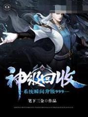 神級回收系統瞬間升級999