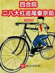 四合院：二八大槓追尾秦京茹