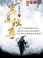 宸道獨尊