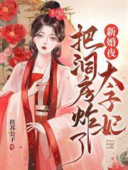 新婚夜太子妃把洞房炸了