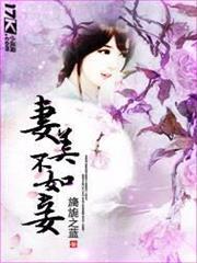 妻美不如妾