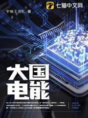 大國電能