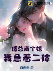 傅總離個婚，我急著二嫁