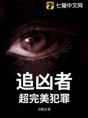 追兇者：超完美犯罪
