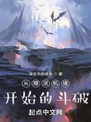 從贈送機緣開始的斗破