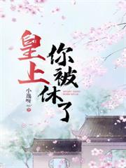 皇上，你被休了