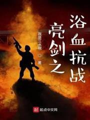 亮劍之浴血抗戰