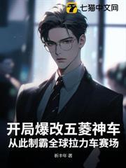 開局爆改五菱神車，從此制霸全球拉力車賽場