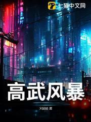 高武風暴