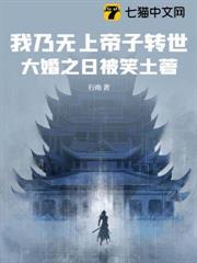 我乃無上帝子轉世，大婚之日被笑土著？