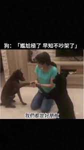 大學生創業，這不是有手就行？