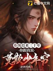 系統遲來三十年，你跟我說莫欺少年窮