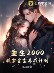 重生2000：我家首富養成計劃