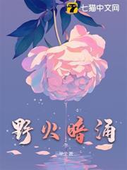 野火暗涌