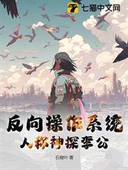反向作業系統，人稱神探李公