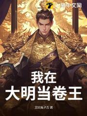 我在大明當卷王
