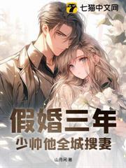 假婚三年，少帥他全城搜妻