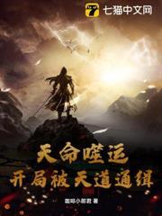 天命噬運：開局被天道通緝