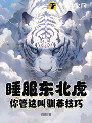 睡服東北虎？你管這叫馴養技巧？