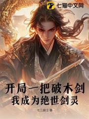 開局一把破木劍，我成為絕世劍靈