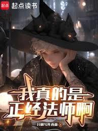 我真的是正經法師啊